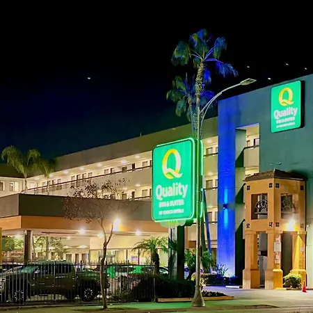 Quality Inn & Suites Los Angeles Airport - Stadium District-2